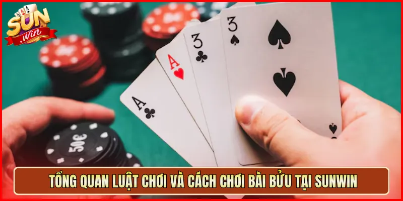 Tổng Quan Luật Chơi Và Cách Chơi Bài Bửu Tại Sunwin
