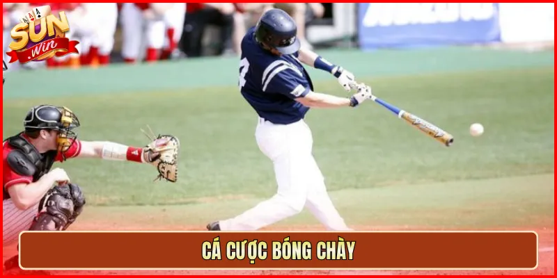 cá cược bóng chày