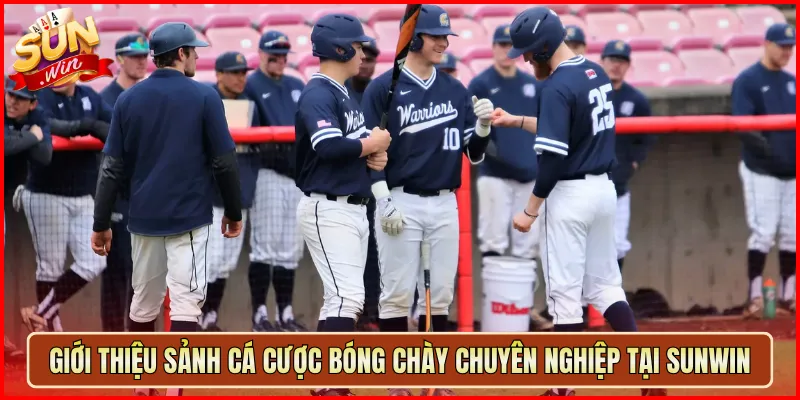 Giới Thiệu Sảnh Cá Cược Bóng Chày Chuyên Nghiệp Tại Sunwin
