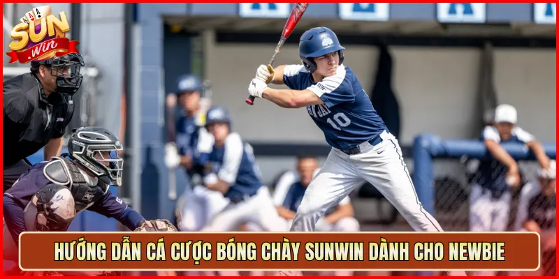 Hướng Dẫn Cá Cược Bóng Chày Sunwin Dành Cho Nebwie