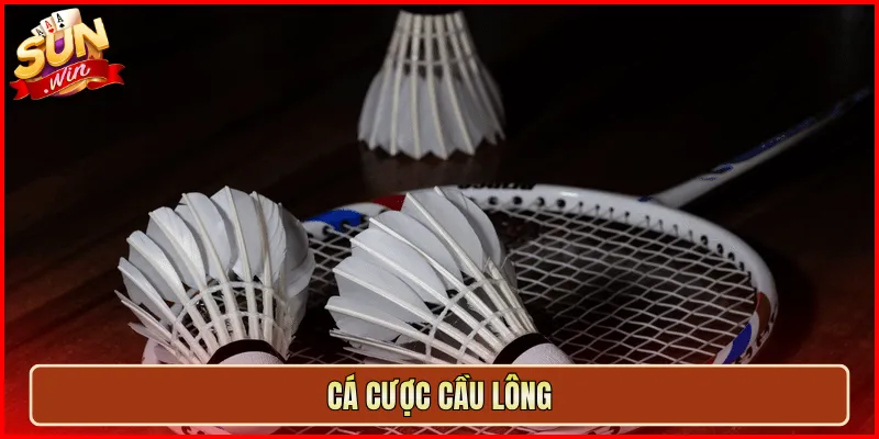 cá cược cầu lông