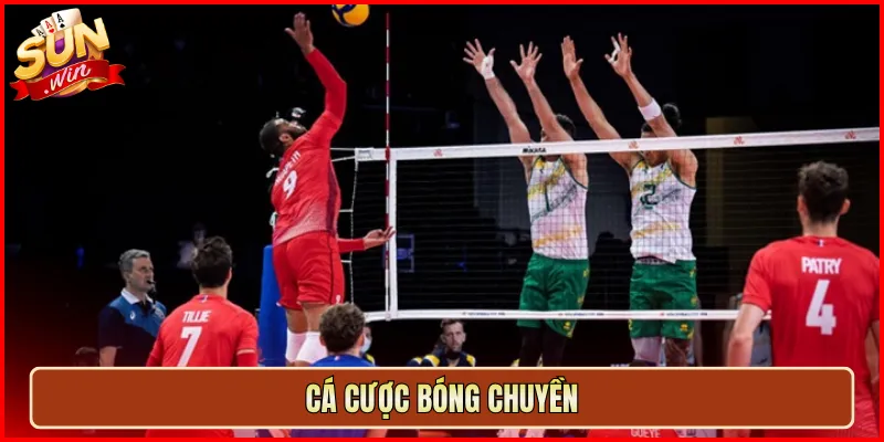 Cá Cược Bóng Chuyền
