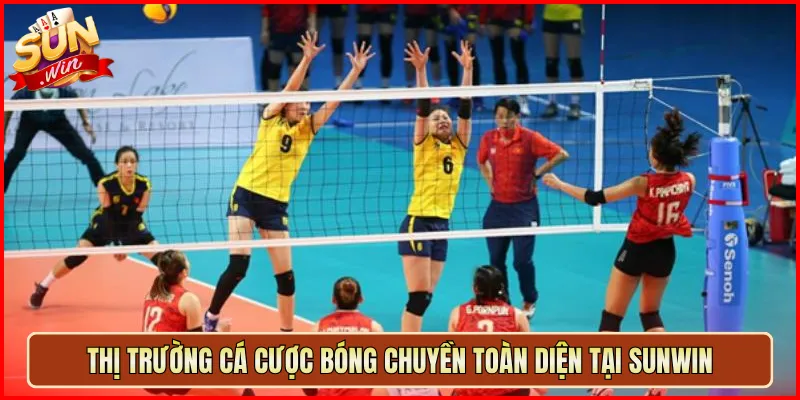 Thị Trường Cá Cược Bóng Chuyền Toàn Diện Tại Sunwin