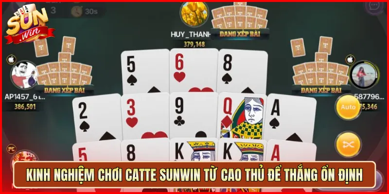 Kinh Nghiệm Chơi Catte Sunwin Từ Cao Thủ Để Thắng Ổn Định